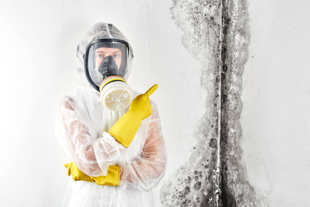 Best Biohazard Mold Removal  in Wildwood Lake, TN